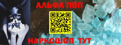 спайс Кингисепп