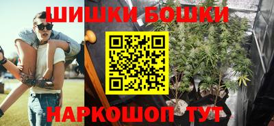 спайс Кингисепп