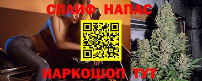 спайс Кингисепп