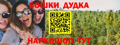 спайс Кингисепп