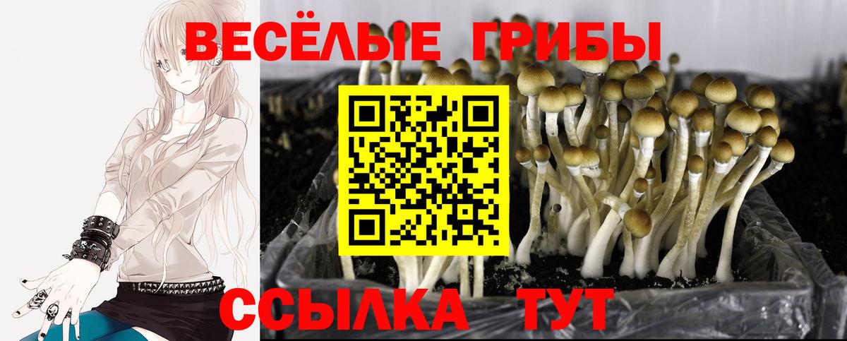 Псилоцибиновые грибы MAGIC MUSHROOMS  Вход с VPN  Лангепас  Галлюциногенные грибы MAGIC MUSHROOMS 